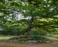 images/Schweden/Schweden 2025/DSC02454.jpg